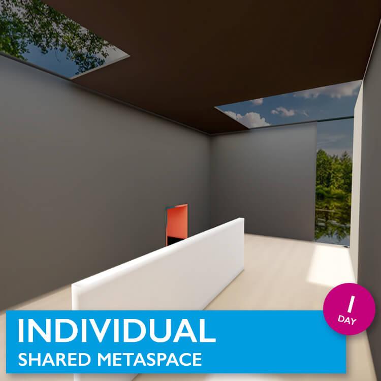 WERKEN IN VR MetaSpaces voor 1 dag als team of als individu