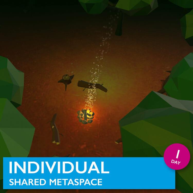 WERKEN IN VR MetaSpaces voor 1 dag als team of als individu